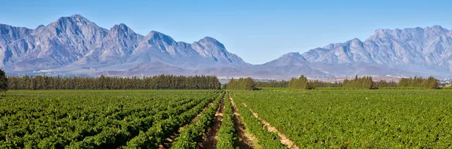 Merwida Wine Cellar (Production Facility)