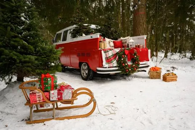 *Trušu Karaliste* Lēdmanes Atpūtas Dabas Parks