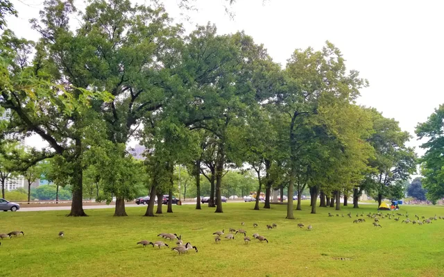 Lincoln Park Ten Thousand Ripples - Artwork