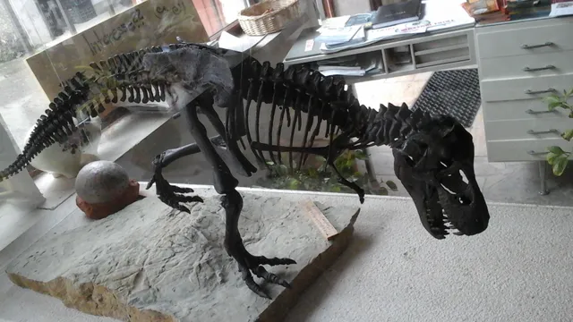 Triasmuseum an der Ochsenfurt