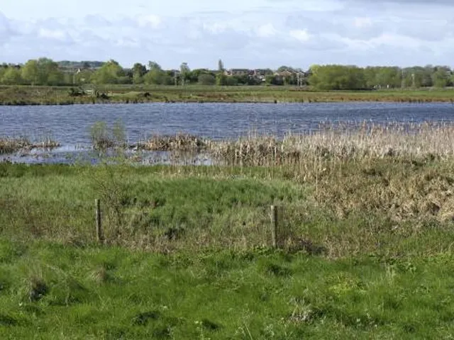 Doxey Marshes