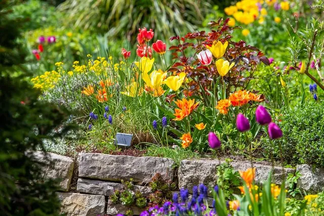 Karl Foerster Garden