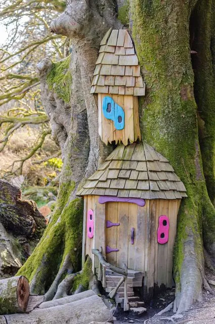 Fionn's Giant Adventure