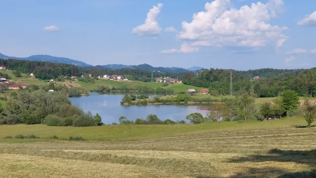 Šmartinsko jezero pri Celju