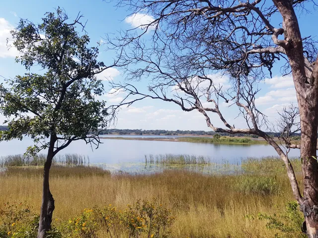 Chembe Bird Sanctuary
