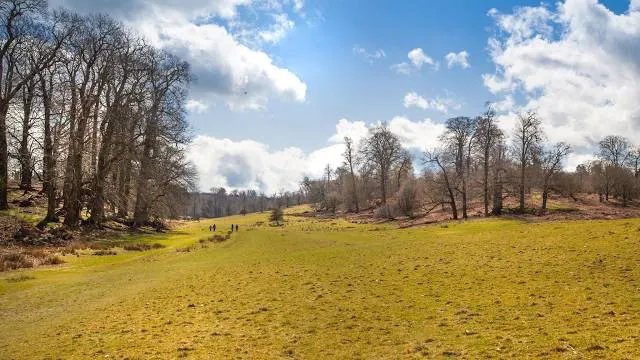 Wildpark Völklingen