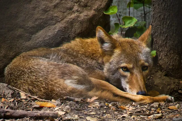 Sulphur Creek Nature Center
