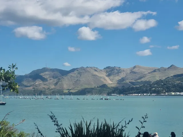 Stoddart Point Reserve