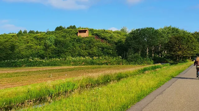 Uitkijkpunt Tespelduyn