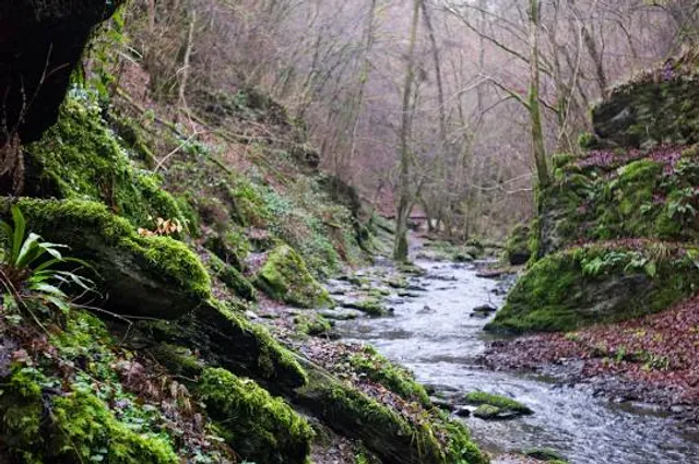 Traumschleife „Ehrbachklamm“