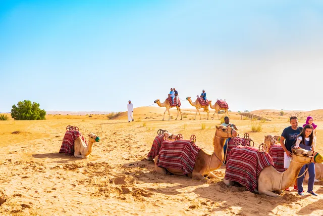 Dubai Desert Conservation Reserve