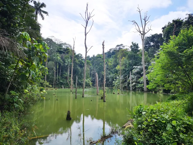 Setia Alam Community Trail Lake