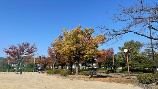 Morimoto Central Park