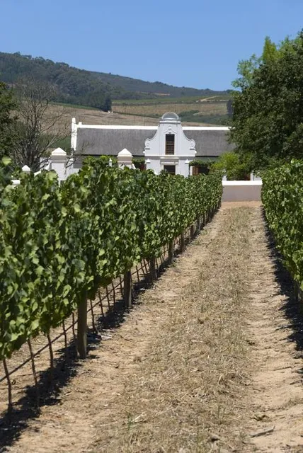 The Cape Winery