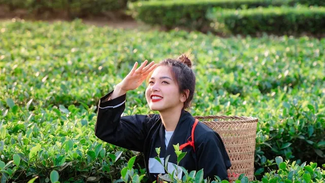 Khu Du Lịch Sinh Thái Cộng Đồng Bản Ven Xanh