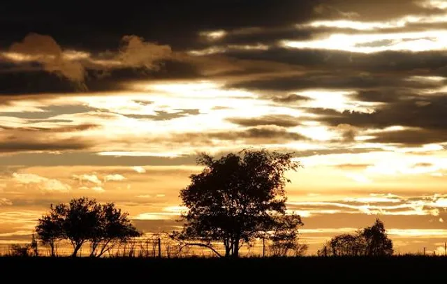 Massassauga Point Conservation Area