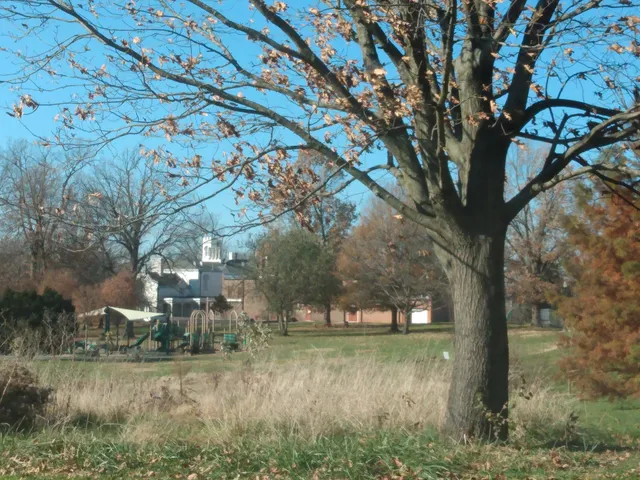 photo-2