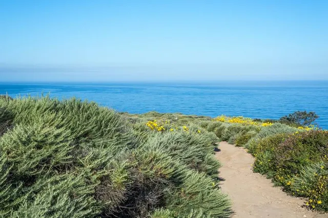 Scripps Coastal Reserve Biodiversity Trail