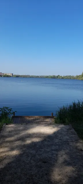 Etang du vignoble à Valenciennes