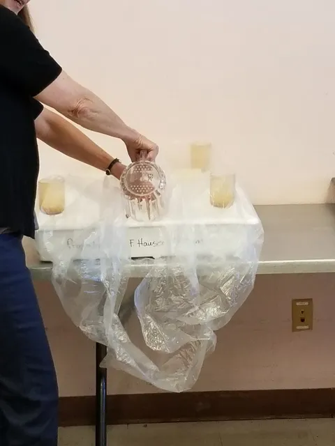 Sierra Vista Historical