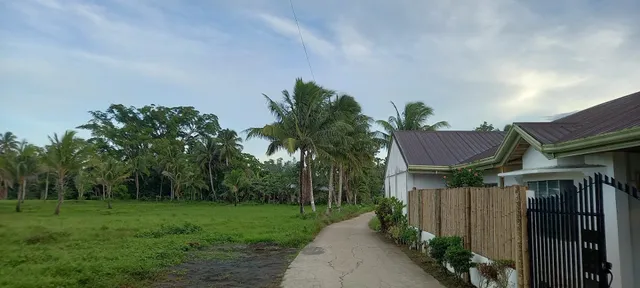 Bamboo-Garden Tourist Inn