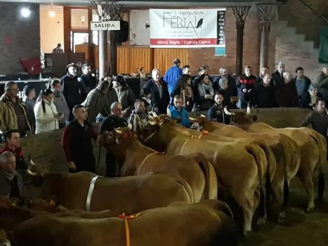 Bar-Restaurante El Ferial