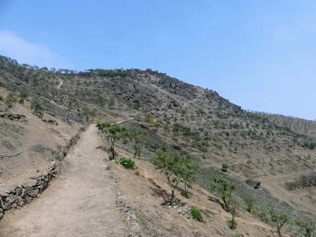 Parque Forestal Ecoturístico Boca de Sapo