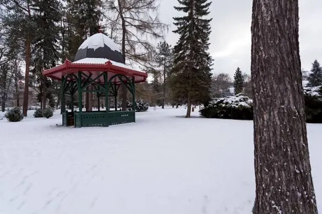 photo-1