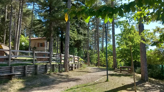 Parco Pineta