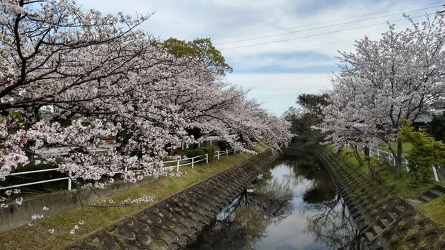 Tafusegawa Riverside Park