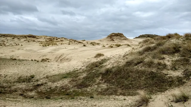 Kijfhoek en Bierlap (dagkaartterrein)