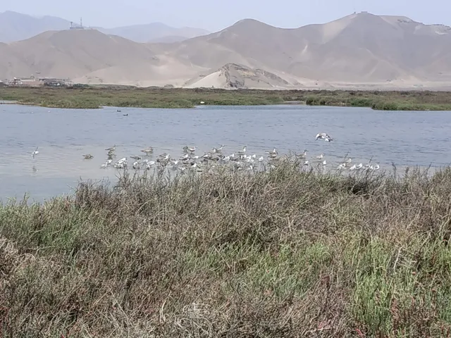 Wetlands of Ventanilla