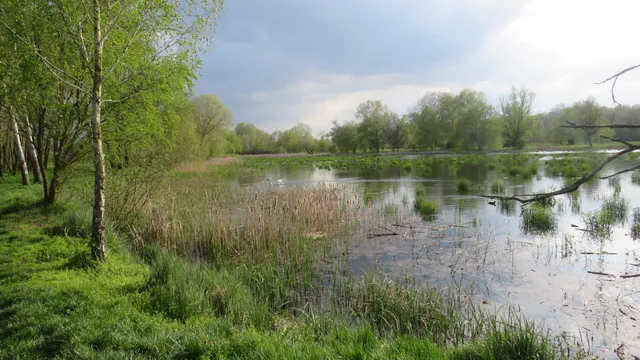 Hajdúság Landscape-protection Area