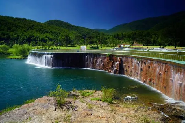 Bamboo Sea Scenic Spot