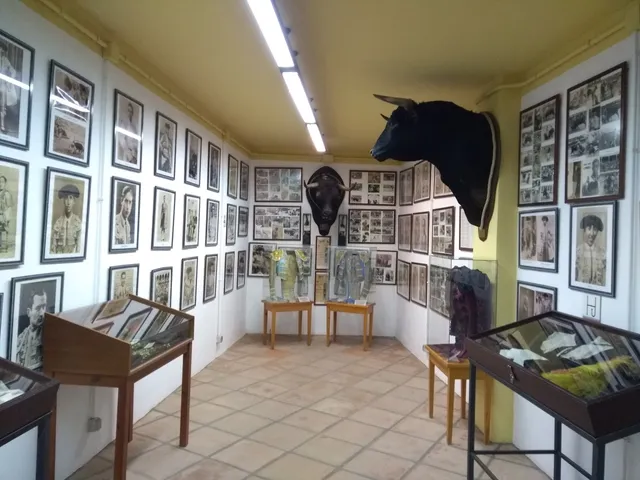 Museo Taurino