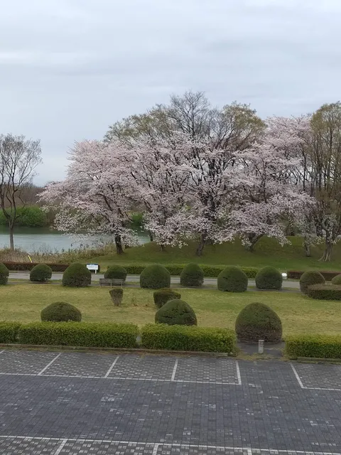 Kisogawa Ryokuchi Park