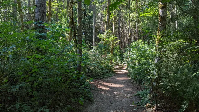 Banner Forest Heritage Park