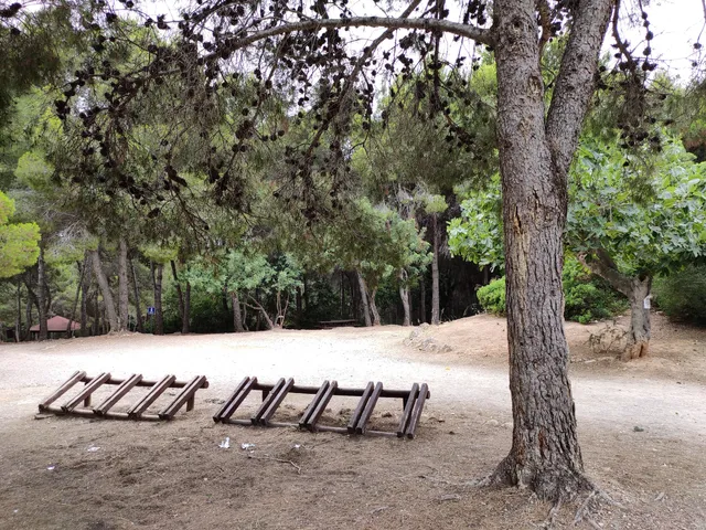 La Canyada del Conill