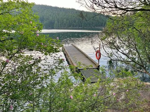photo-1