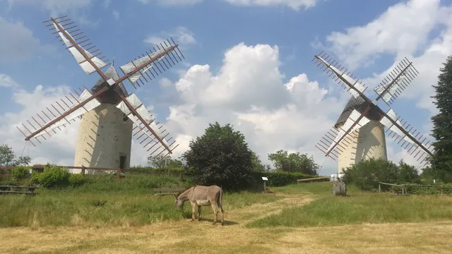 Les moulins du Terrier Marteau