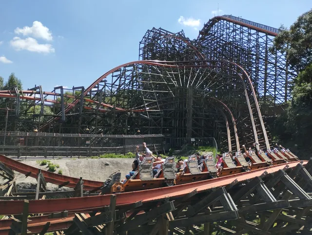 Medusa Steel Coaster