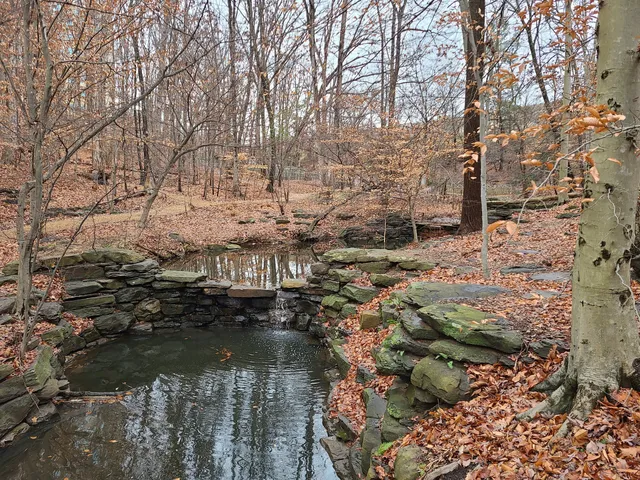 Winkler Botanical Preserve