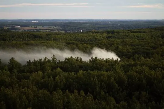 photo-3