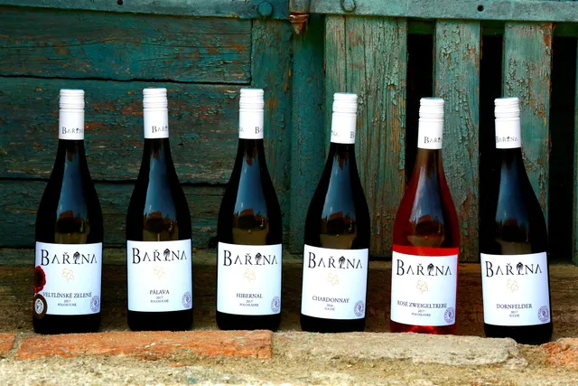 Rodinné vinařství Bařina