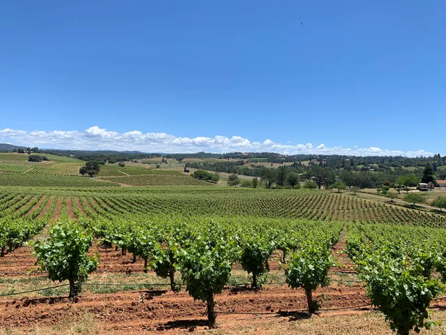 Bella Grace Vineyards & Wine Cave