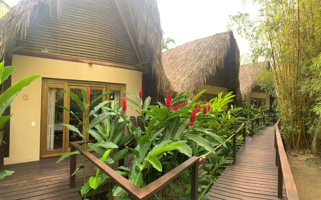 Casa Bambu Tayrona