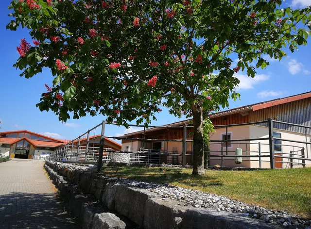 Allgäu Meadow Ranch GmbH