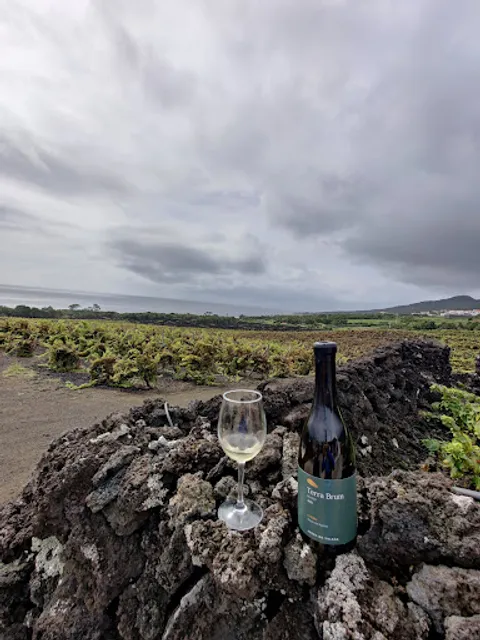 Solar Terra Brum. Wine Tasting Adega do Vulcão