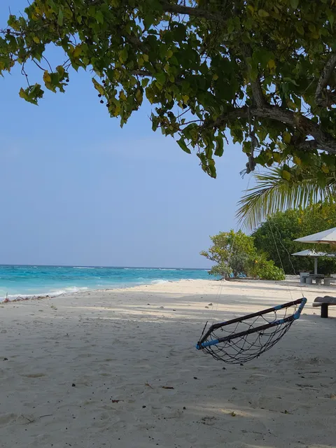Dharavandhoo hanifaru Bay Beach