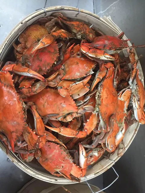 KOOL Ice & Seafood Co